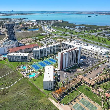 1204 Saida I - Beach Front South Padre Island Buitenkant foto